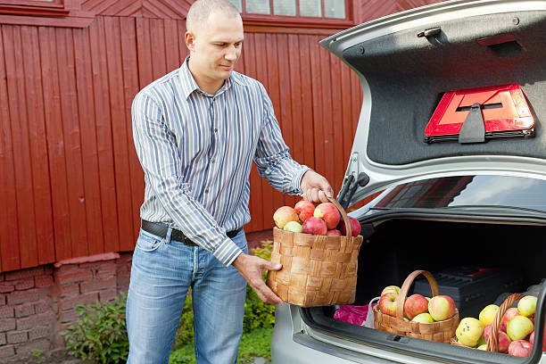 Guy puts apples in the trunk of car