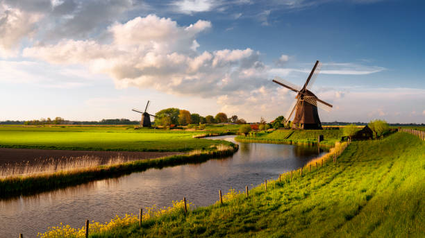 moinhos de vento holandeses - 2603 - fotografias e filmes do acervo