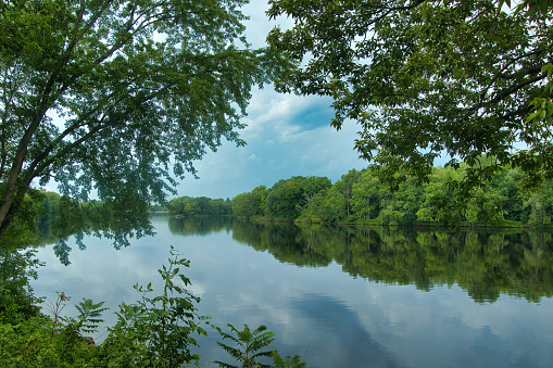 Landscape of a peaceful Chippewa River framed by a lush green forest reflecting the cloudy sky on a Summer afternoon near Lake Holcomb, WI.