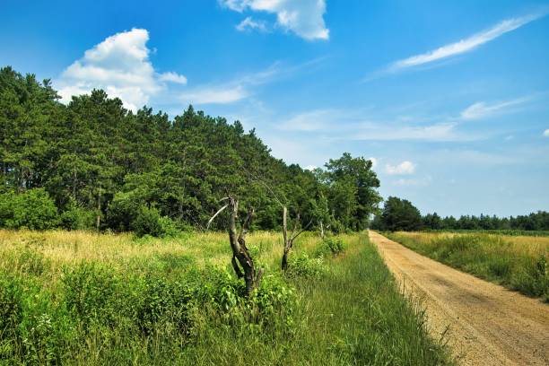 istock Trail Beneath Blue Sky and Clouds on Summer Day 1583314048