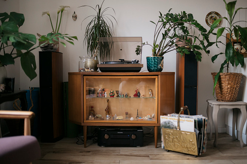 Modern living room with gramophone on showcase and potted plants alongside. Vintage music player with plants in living room at home.
