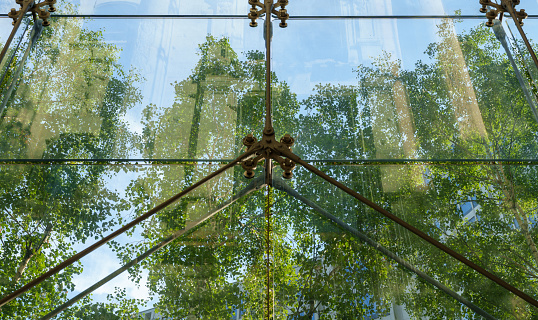 istock view upwards through trees to a modern glass facade of an office building. 1583332869
