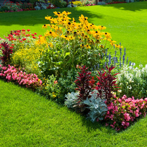 A bright flowerbed and a green lawn.