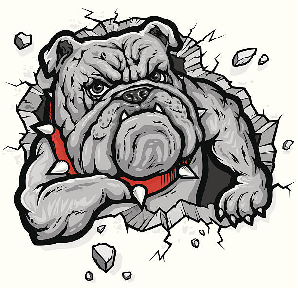 불독 (bulldog) - animal animal themes illustration and painting animal head stock illustrations