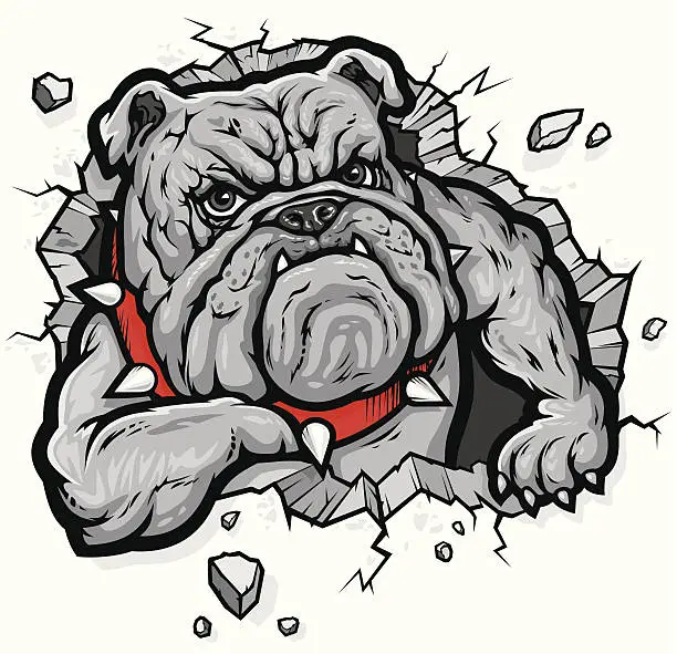 Vector illustration of bulldog