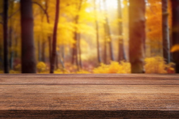 istock Background of a beautiful and bright natural with desk 1583354453