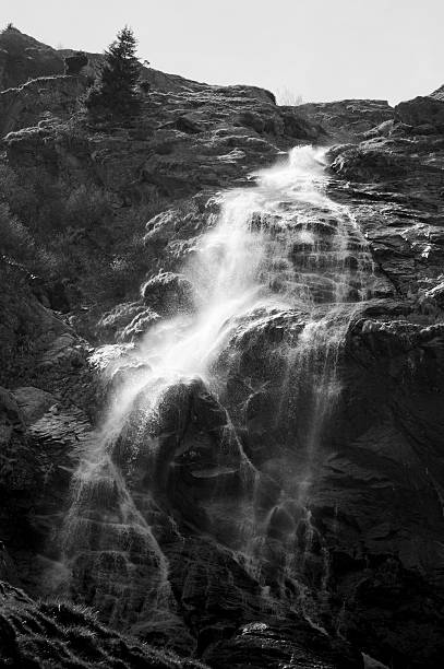 wodospad, woda mineralna - silver cascade falls zdjęcia i obrazy z banku zdjęć