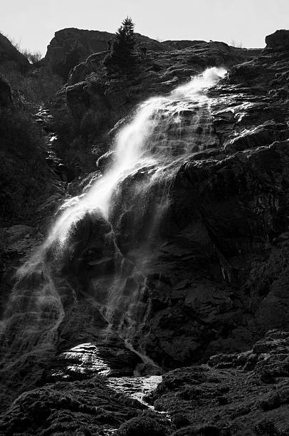 wodospad w górach - silver cascade falls zdjęcia i obrazy z banku zdjęć