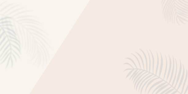 istock Creative layout made of colorful tropical leaves on white background. Minimal summer exotic concept with copy space. 1583400256