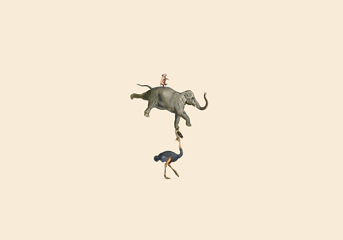 An ostrich holds up an owl that holds up an elephant that holds up a pig in a funny balancing animals image.