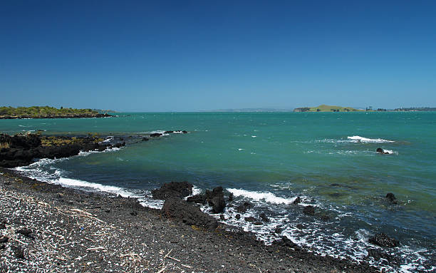 Rangitoto island Rocky shore at Rangitoto island, Auckland, New Zealand rangitoto island stock pictures, royalty-free photos & images