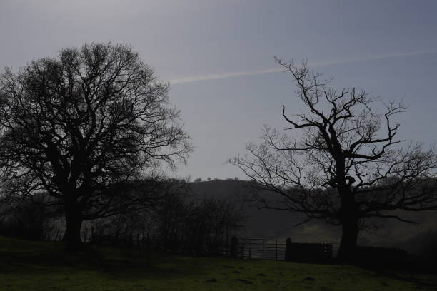 istock Ingersley Vale Walk 2023 1583415703