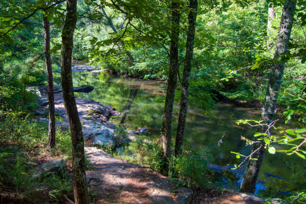 istock Line Creek Nature Area 1583420466