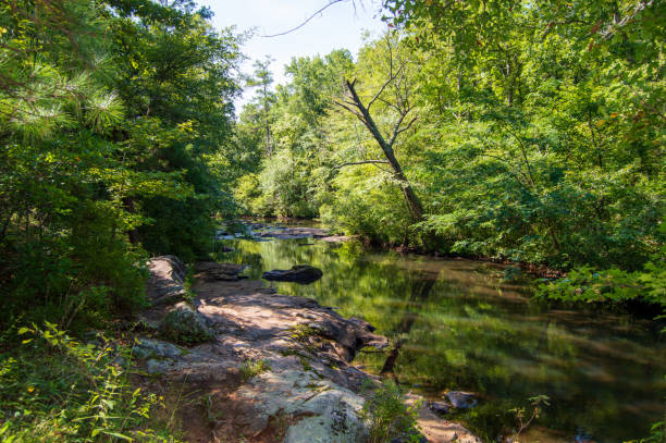Line Creek Nature Area