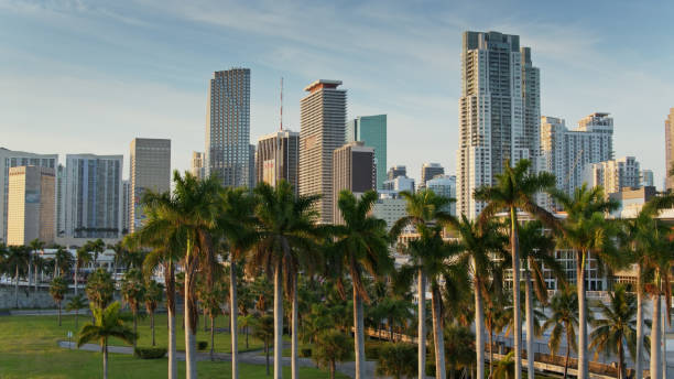 Free Stock Photo of City Street With Tall Buildings and Palm Trees ...