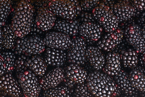 Blackberries bunch on white background. Selective focus.