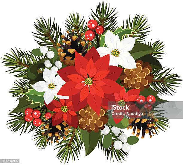 Vector Christmas Decoration With Poinsettia Firtree Cones Holly And Mistletoe Stock Illustration - Download Image Now