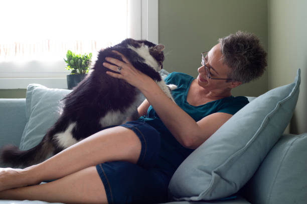 istock Woman playing with her cat at home 1583477658
