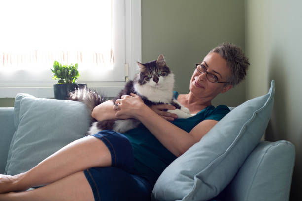 istock Woman playing with her cat at home 1583483241