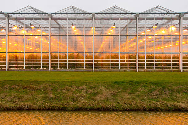 istock background commercial greenhouse 158351603