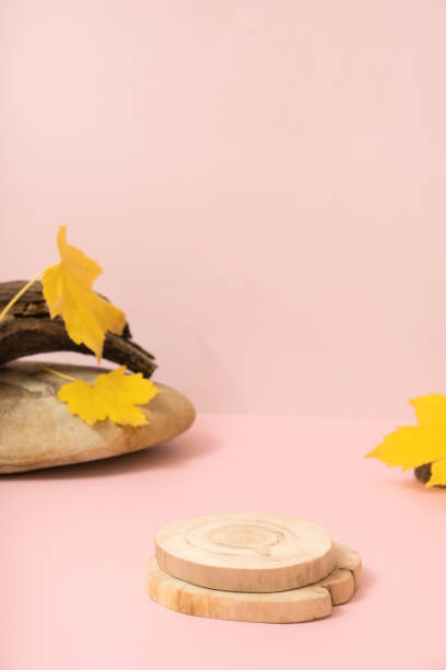 istock Podium or pedestal template mock up. Autumn scene composition for cosmetics 1583516239