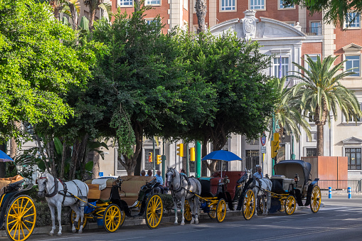 Malaga, Andalusia, Spain - July 29, 2023: Horse-drawn carriages parked next to the Plaza de la Marina in the urban center of the city