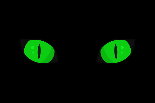 Green cat eyes in the dark flat vector illustration
