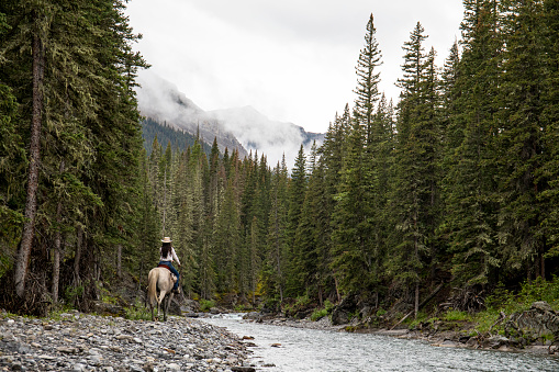 She follows a wild river through the forest and mountains in the majestic Canadian Rockies