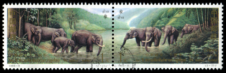 China postage stamp: 1995, Asian elephants with 20th anniversary of diplomatic relations between China and Thailand. 