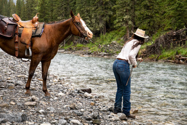 cavaliere femminile conduce il cavallo verso il fiume - 7047 foto e immagini stock