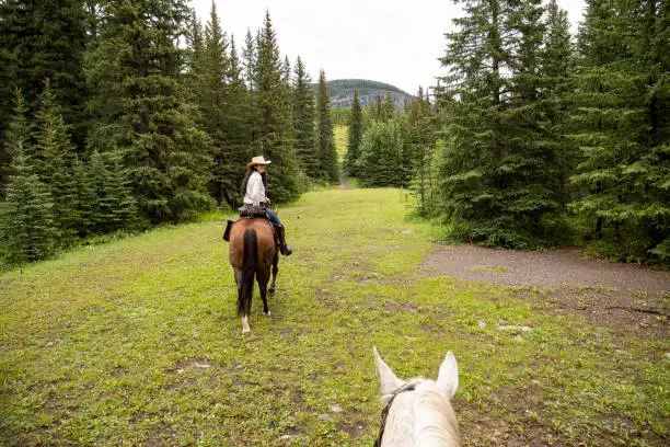 Photo of POV past horse rider to woman horse rider in forest