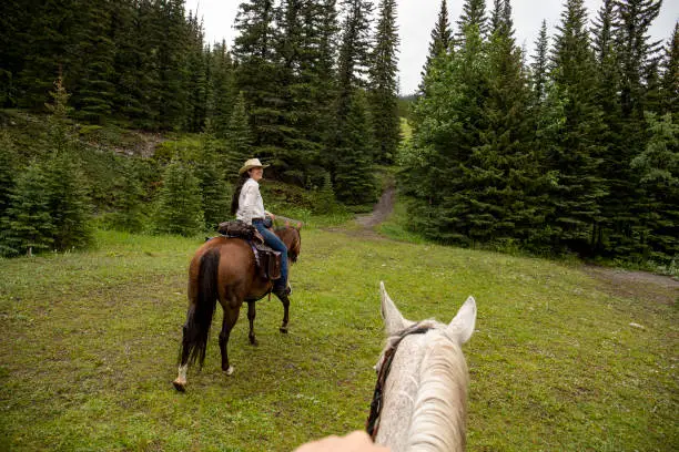 Photo of POV past horse rider to woman horse rider in forest