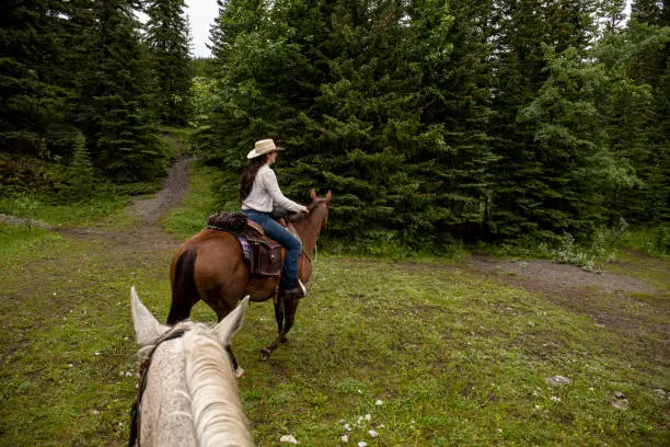 Photo of POV past horse rider to woman horse rider in forest