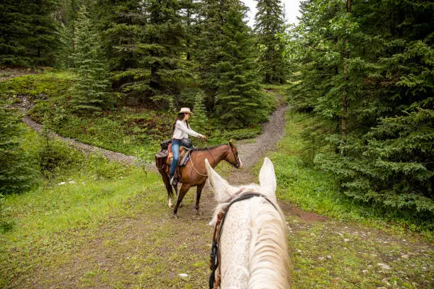 Photo of POV past horse rider to woman horse rider in forest