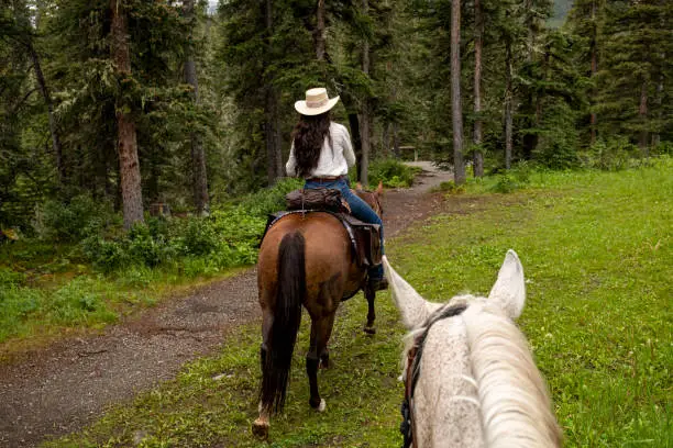Photo of POV past horse rider to woman horse rider in forest