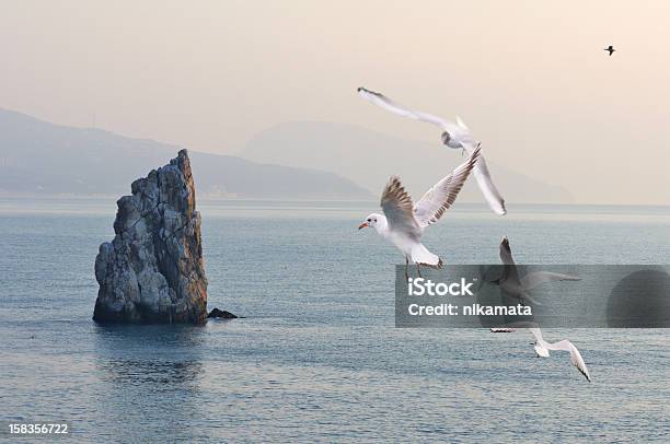 Mountains Sea And Seagulls Stock Photo - Download Image Now - Animals In The Wild, Bay of Water, Beauty In Nature