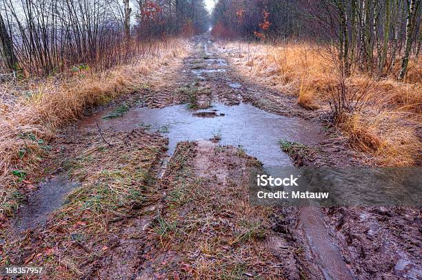 Photo libre de droit de Chemin De Terre banque d'images et plus d'images libres de droit de Automne - Automne, Boue, Chemin de terre