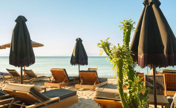 istock Rows of deck chairs and umbrellas on sandy beach 1583580290