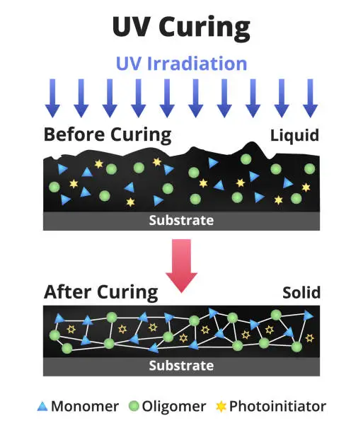 Vector illustration of Vector illustration of UV curing of resin, thermoset, ink. Photosensitive material polymerizes after irradiation with ultraviolet light. Monomer, oligomer, photoinitiator, cross-linked cured polymer.