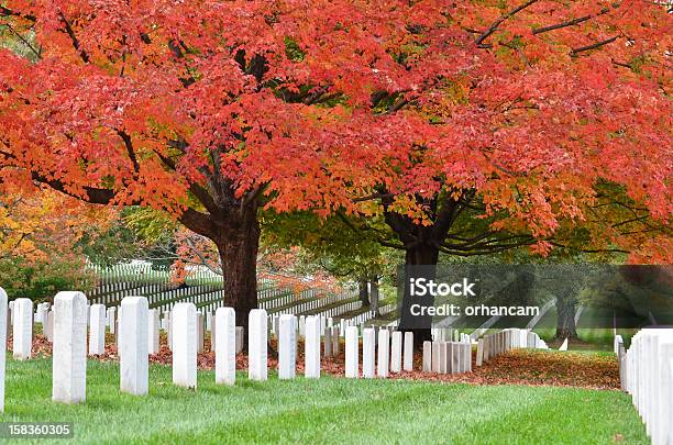 Narodowy Cmentarz W Arlington W Pobliżu Washington Dc W Jesiennym - zdjęcia stockowe i więcej obrazów Jesień