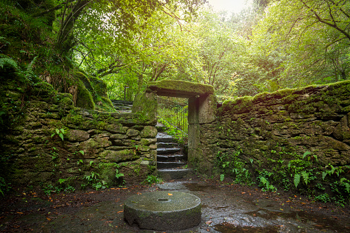 Remains of the old mill of Sesin in the natural park of Fragas do Eume in A Corua, Galicia, Spain