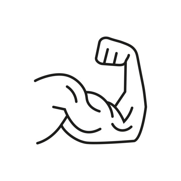 ilustraciones, imágenes clip art, dibujos animados e iconos de stock de icono de la línea muscular del brazo. fitness y culturista, signo de bíceps, icono lineal de trazo editable. gráficos vectoriales - muscular build human muscle men anatomy
