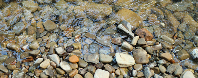 Shallow stream with rocks and pebbles. The rocks are various sizes and colors, including brown, gray, and orange.