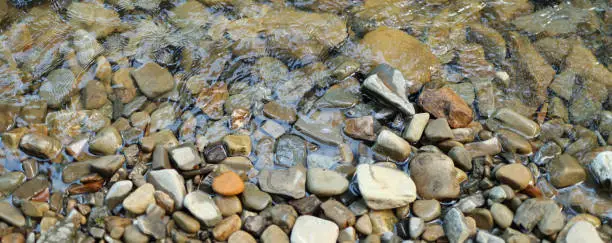 Photo of Shallow stream with rocks and pebbles. The rocks are various sizes and colors, including brown, gray, and orange.