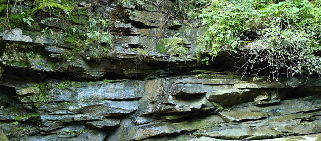 Rock formation in a forest made up of layers of dark grey and black rock with jagged and uneven layers. There are ferns and other green plants growing on the rock formation.