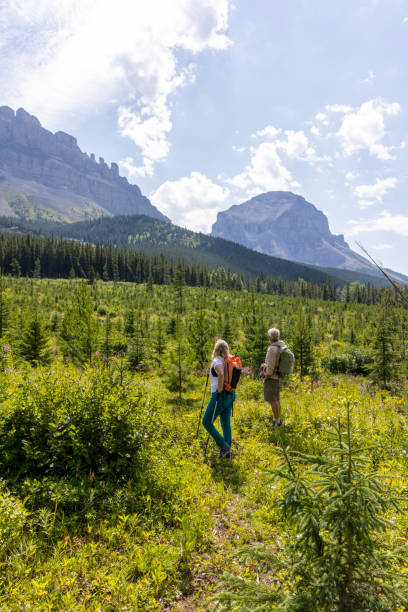 istock Senior couple explore reforested alpine meadow 1583632333