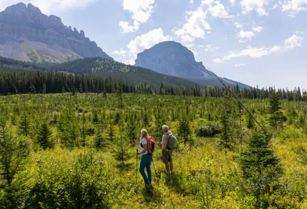 Senior couple explore reforested alpine meadow