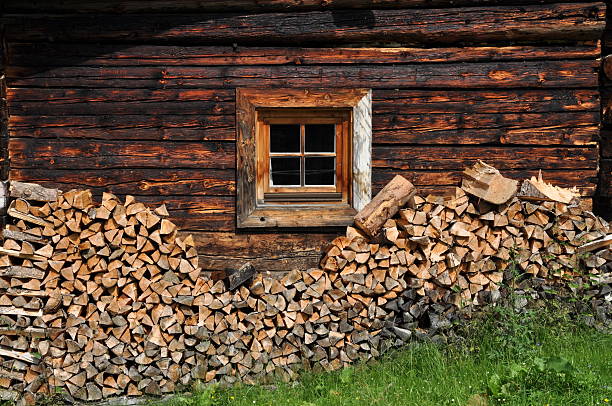 berghütte in österreich - bergwiese stock-fotos und bilder