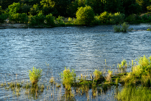 Photograph of the River Otter at Ottery St Mary