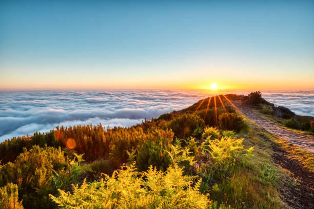 Blick vom höchsten Gipfel Madeiras Pico Ruivo bei Sonnenaufgang – Foto